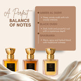 Expensive Smelling Perfume Oil – Set of 3