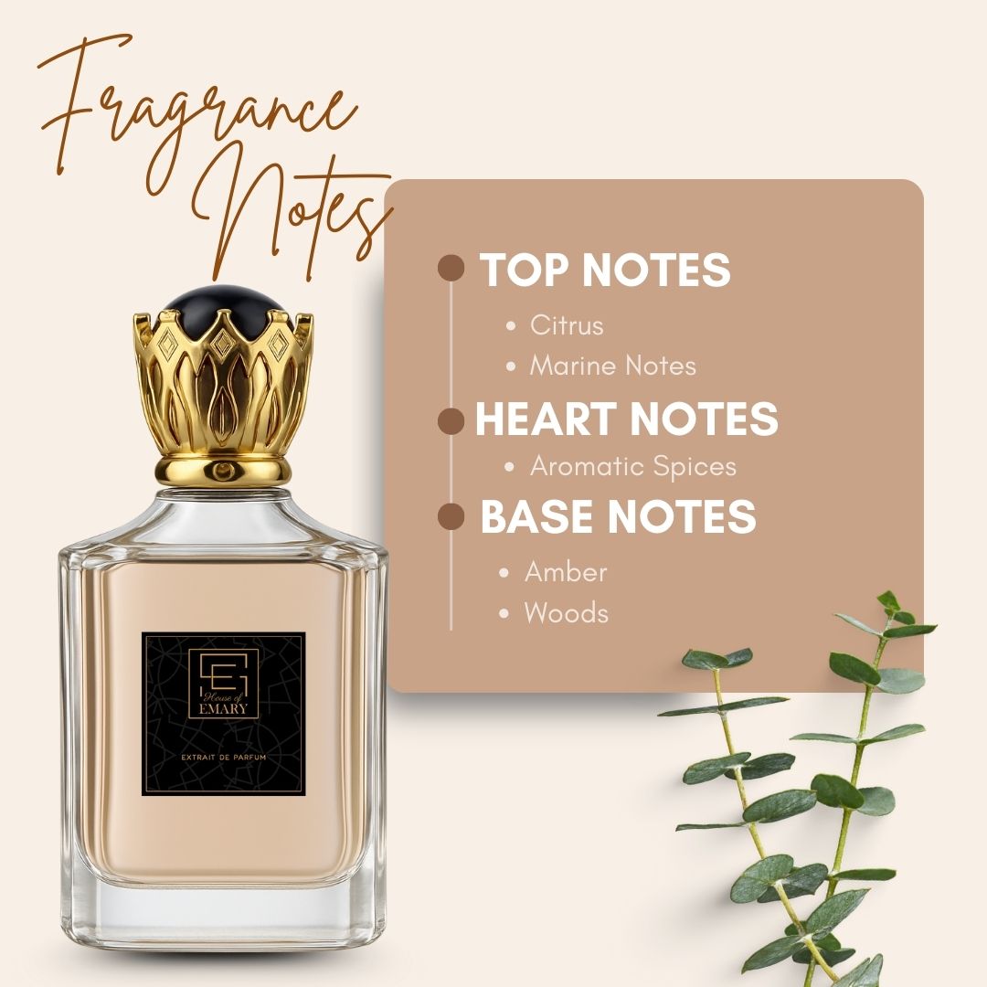 Invicto Aqua (For Him)