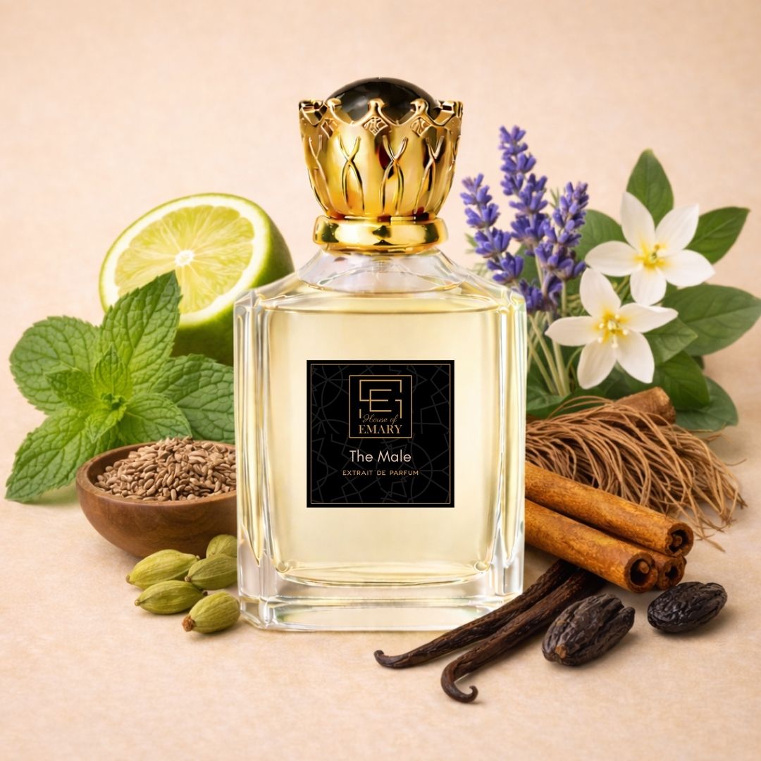 The Male (For Him)